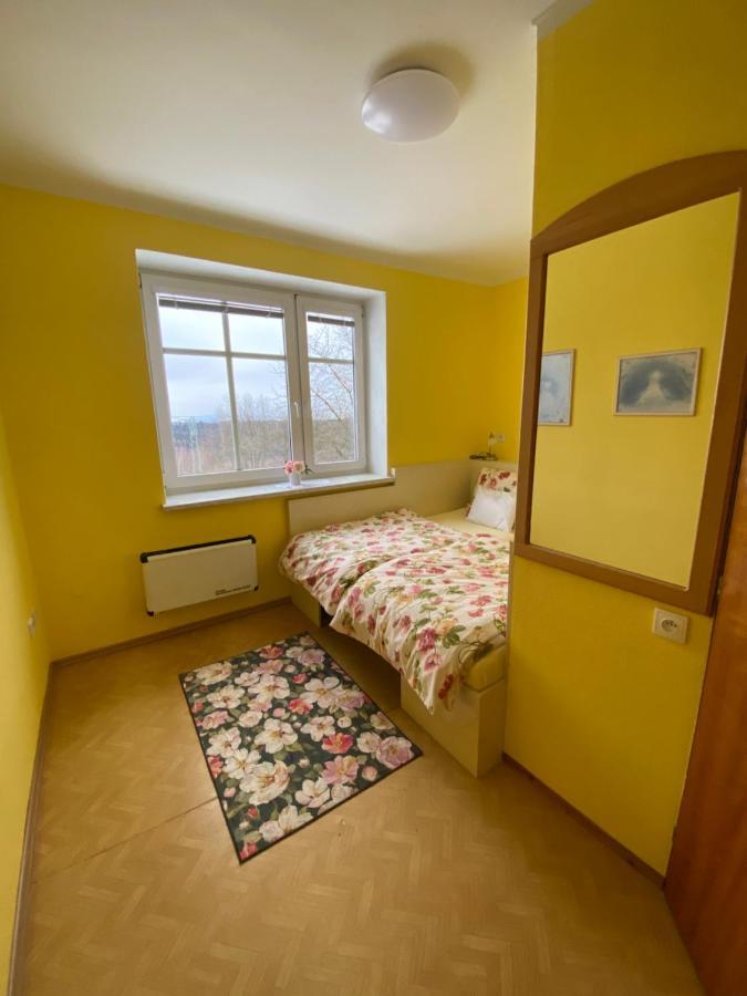 Rodinny Apartman 3+1 Horni Mesto 外观 照片