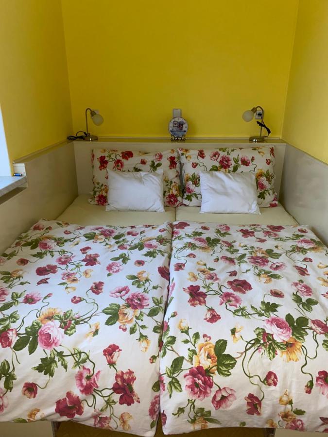 Rodinny Apartman 3+1 Horni Mesto 外观 照片
